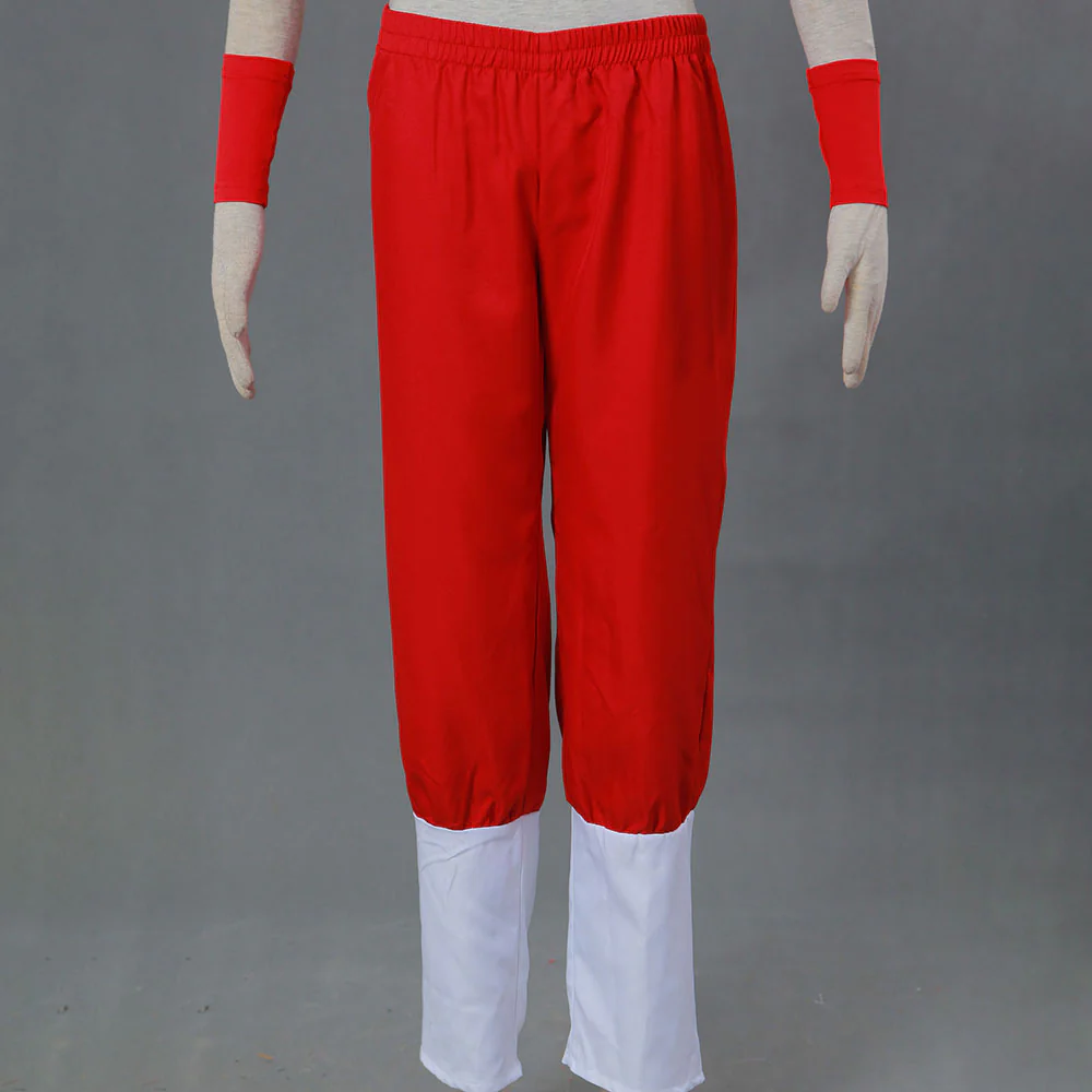 Dragon Ball Costume Chichi Before Marriage Blue Cosplay Suit with Accessories for Women and Kids - Image 9